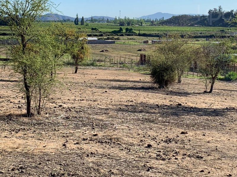 Parcela en Venta - Sector el Ciruelo
